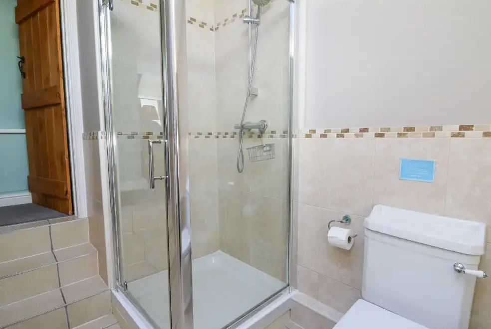 Shower room at Penuwch Fach