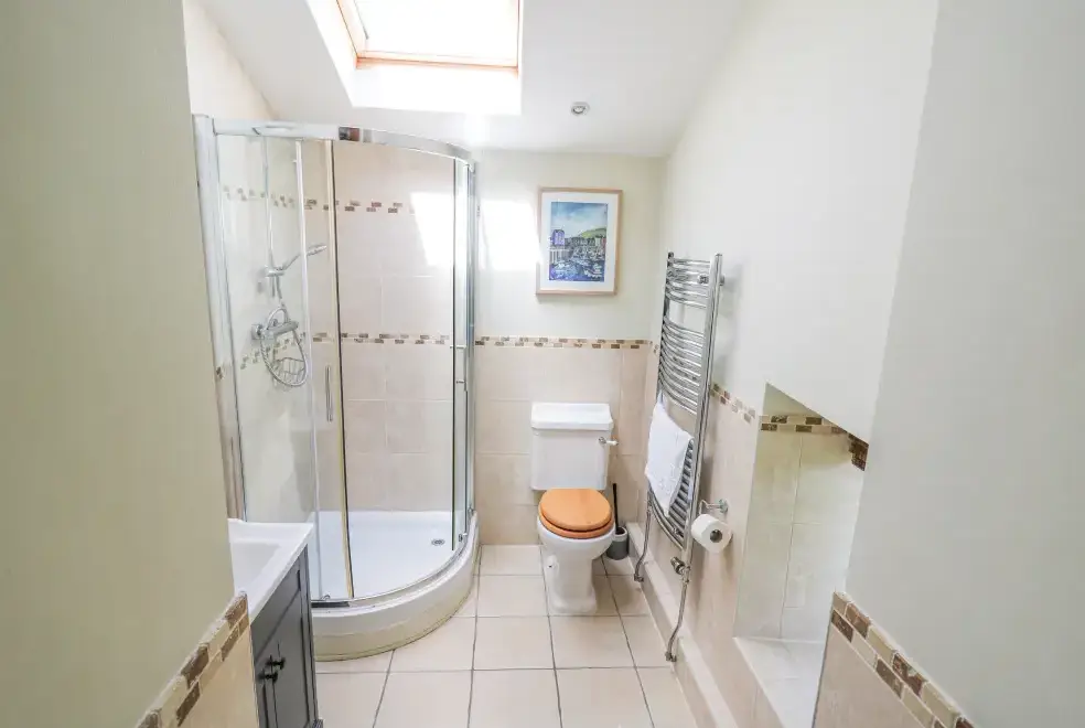 Shower room at Penuwch Fach