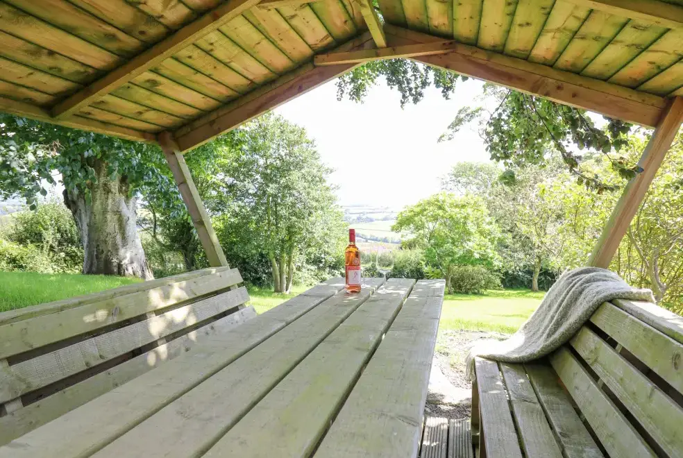 Decked area at Penuwch Fach