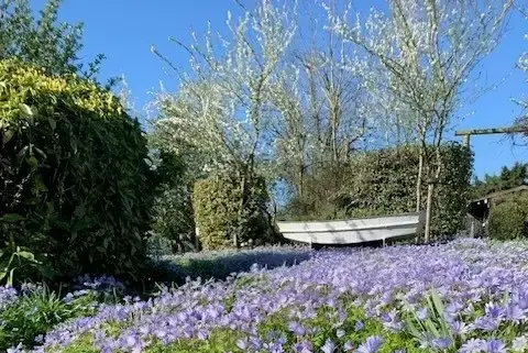 Garden at Petite Fleur