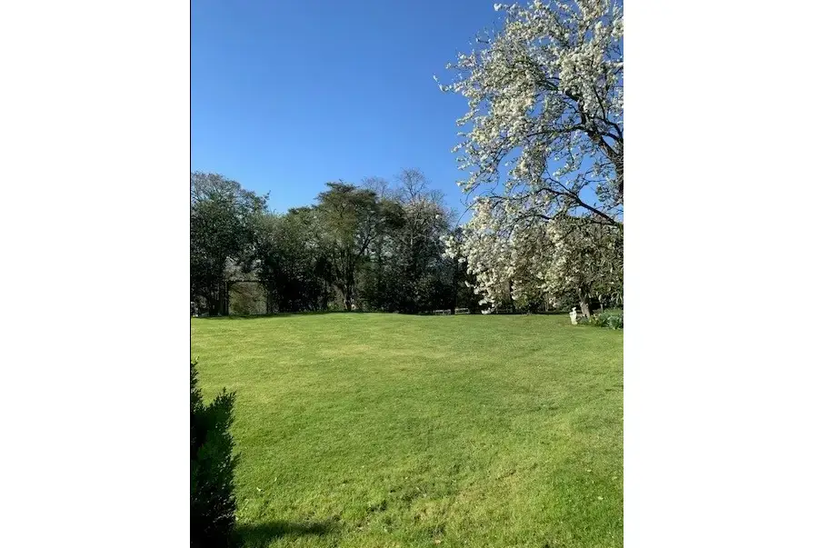 Garden at Petite Fleur