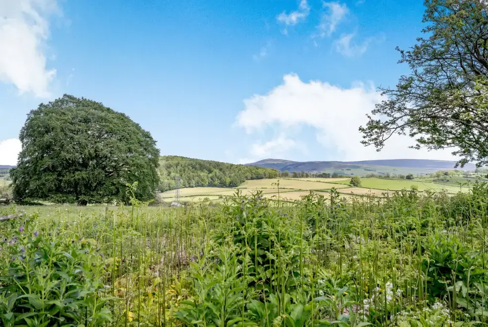 Countryside views at Pickle Barn