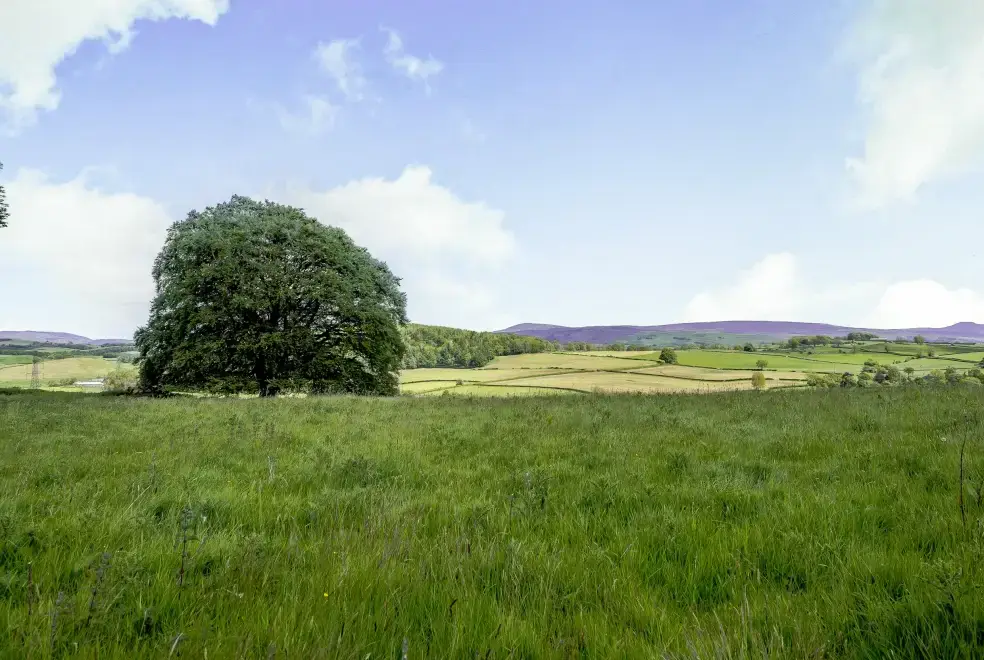 Countryside views at Pickle Barn