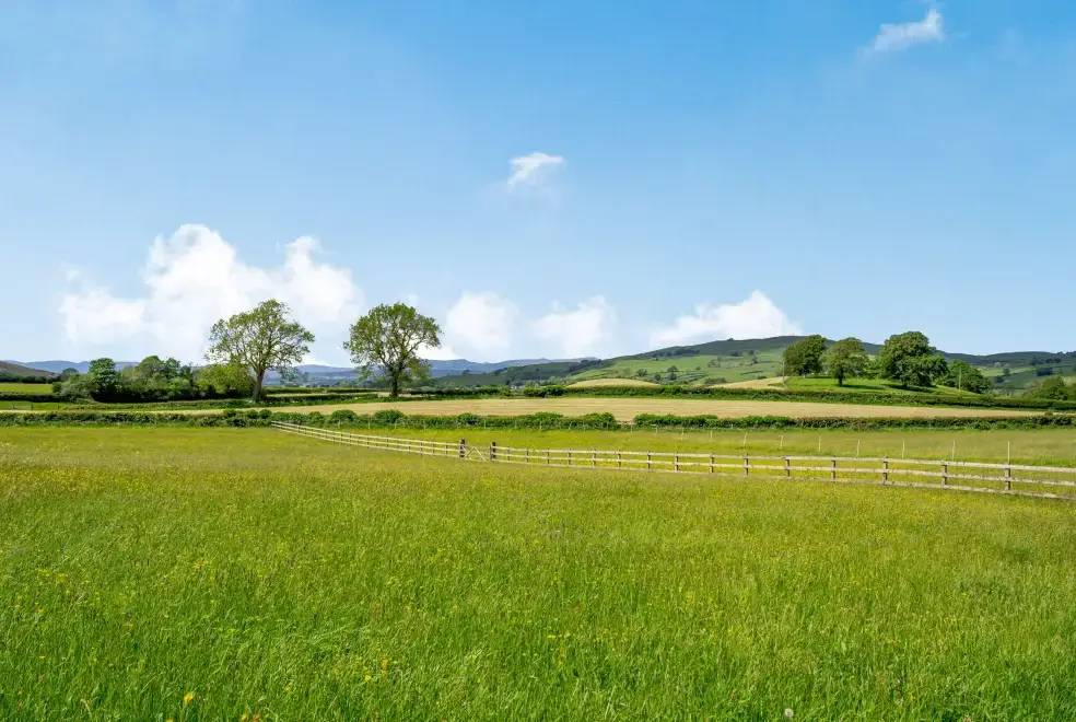 Countryside views at Pickle Country Cottage