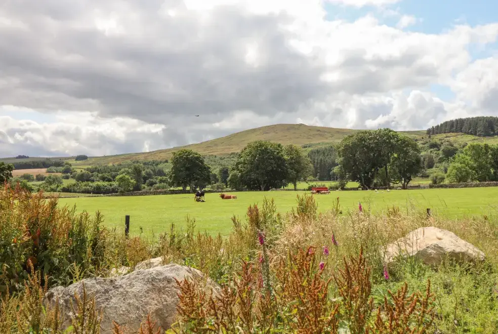 Countryside views at Plas Iolyn
