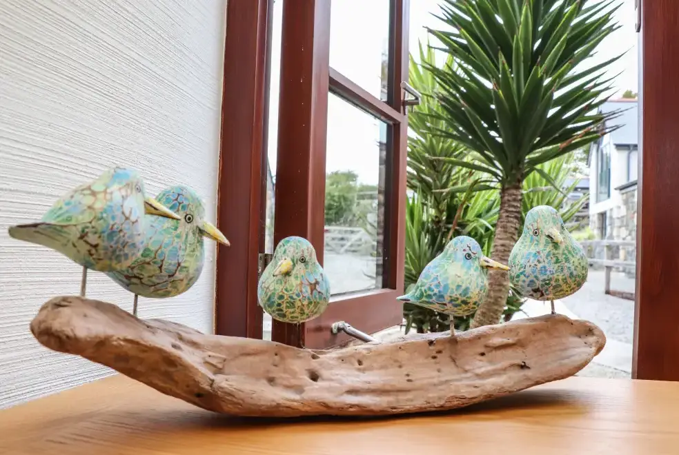 Surrounding area near Pol Glas Hall