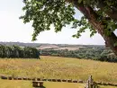 Countryside views at Polurrian House - thumbnail photo
