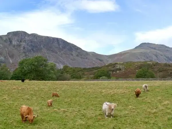 Countryside views at Raceside Farmhouse, Lake District National Park, 