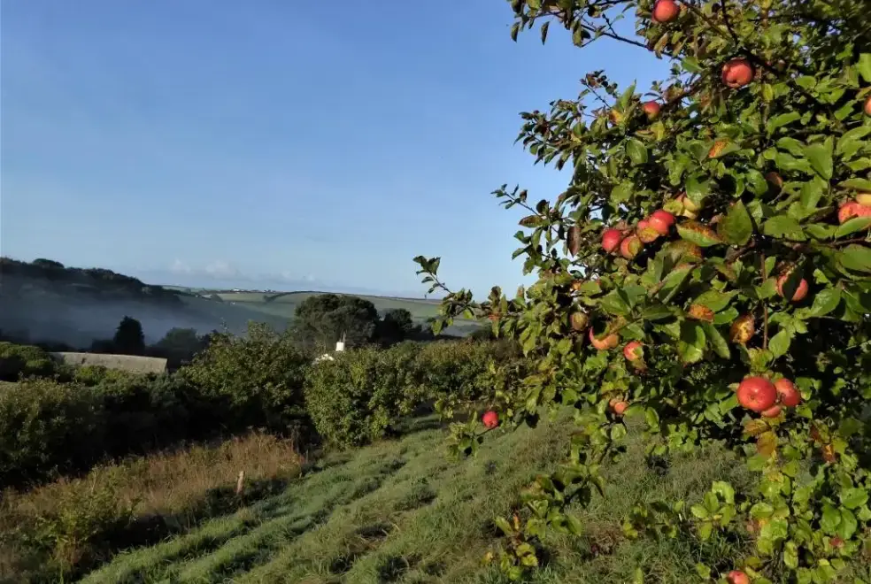 Countryside views at Rafters, 2 bedrooms, sleeps 4, level enclosed garden, dog friendly