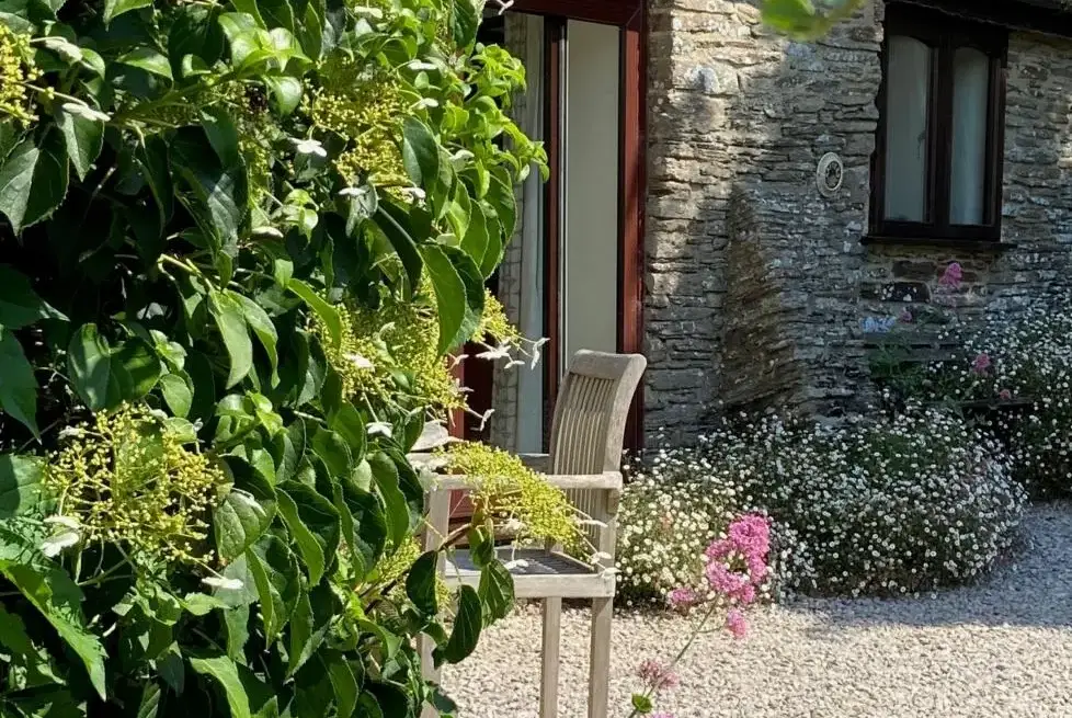 Garden at Rafters, 2 bedrooms, sleeps 4, level enclosed garden, dog friendly