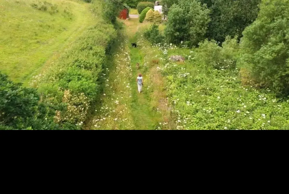 Countryside views at Rafters, 2 bedrooms, sleeps 4, level enclosed garden, dog friendly