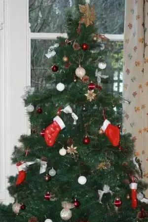 Lounge at Ravensprings