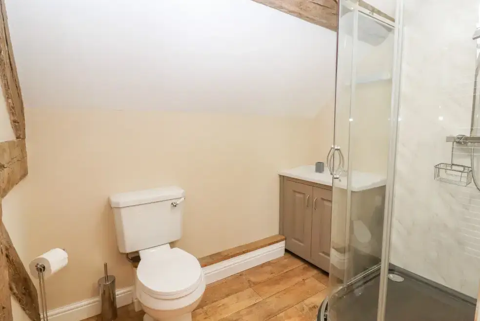 Loo at Rhandregynwen Hall