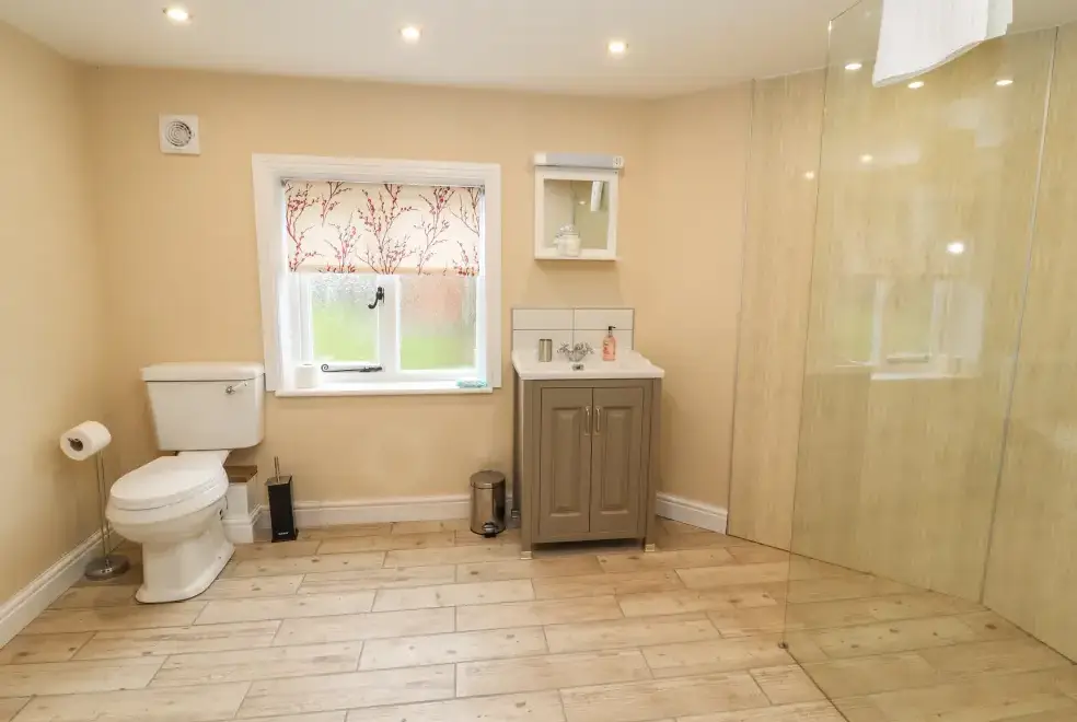 Shower room at Rhandregynwen Hall