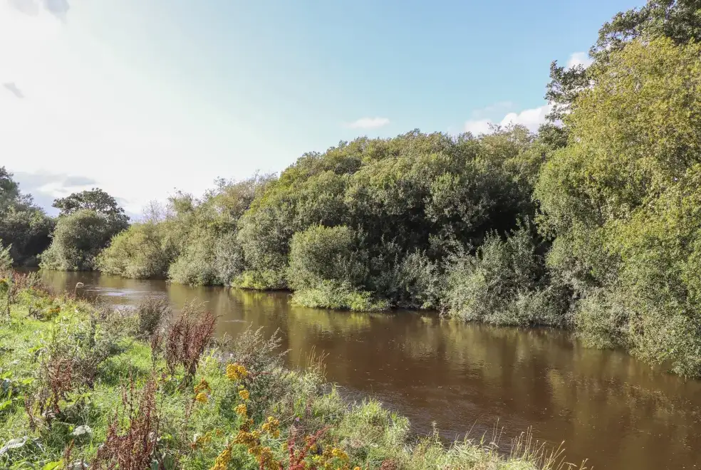 Countryside near Rhandregynwen Hall