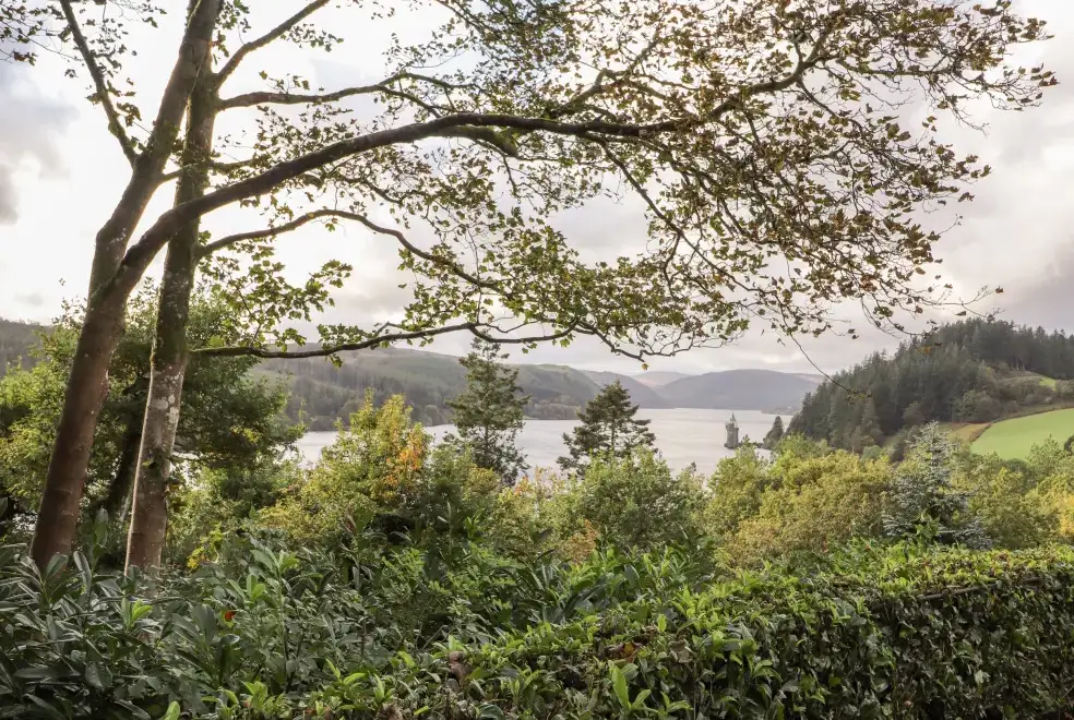 Lake view at Rhandregynwen Hall