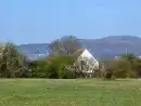 Rhydd Holiday Barn, from the outside - thumbnail photo