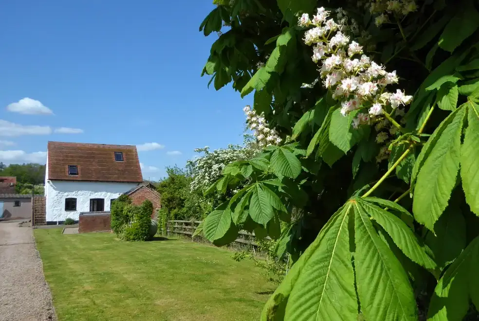 Garden at Rhydd Holiday Barn