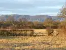Countryside views at Rhydd Holiday Barn - thumbnail photo