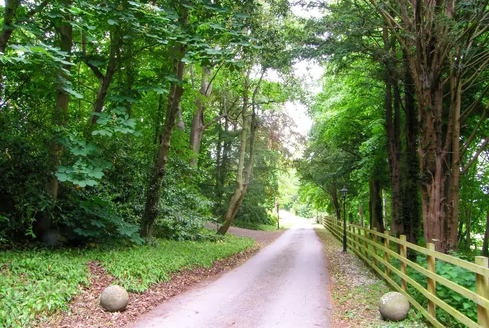 Countryside near Richmond Country House