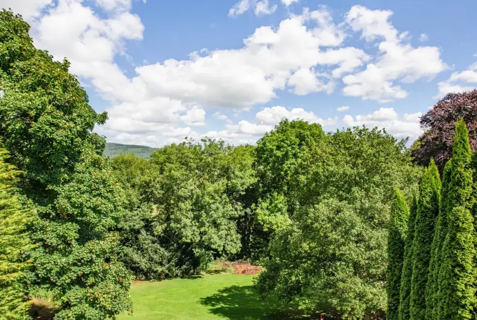 Countryside views at Richmond Country House