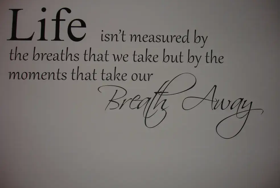 Luxurious interior at River Bank Cottage