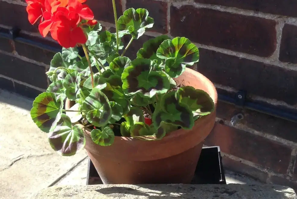Balcony at River Bank Cottage