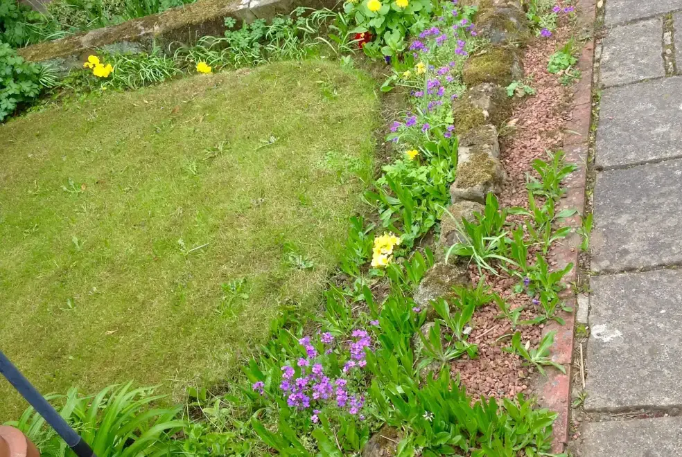 Garden at River Bank Cottage