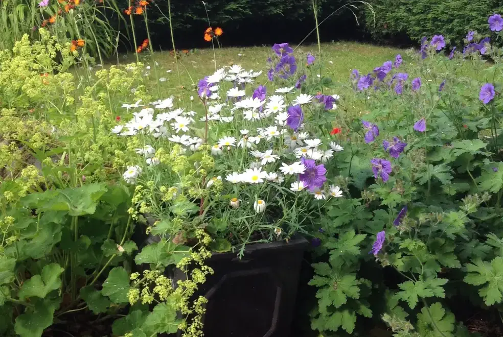 Garden at River Bank Cottage