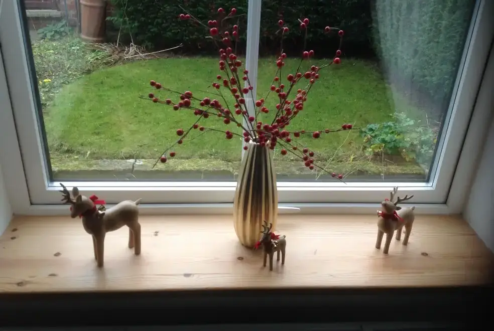 Enclosed garden at River Bank Cottage