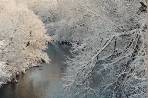 National landscape near River Bank Cottage, North Yorkshire