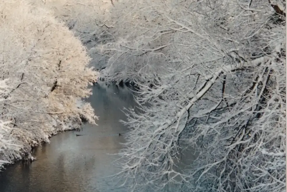 National landscape near River Bank Cottage