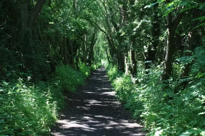 Good walks near River Bank Cottage