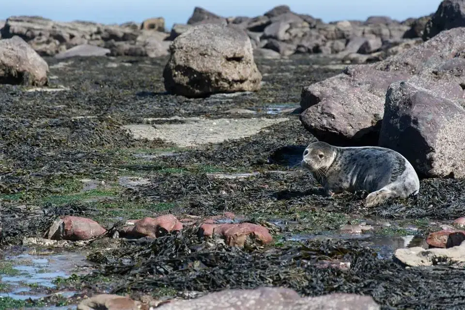 Coastal scenes near River Bank Cottage