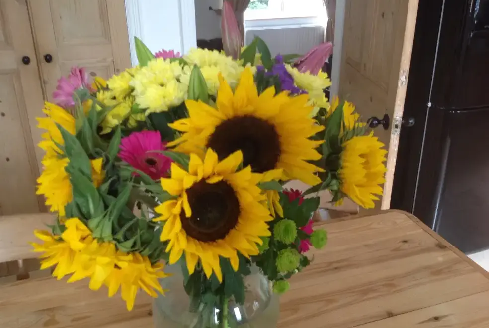 Kitchen/diner at River Bank Cottage