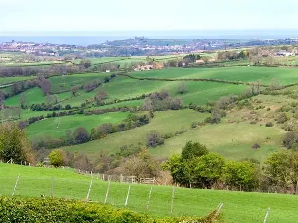 Countryside views at River Bank Cottage
