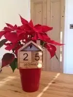 Lounge at River Bank Cottage