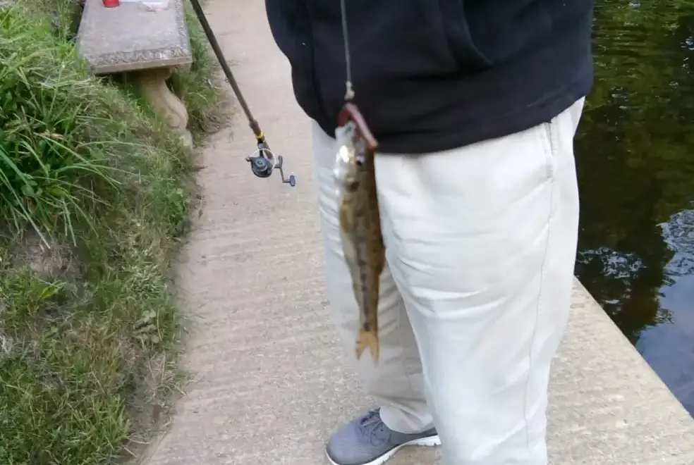 Surrounding area near River Bank Cottage