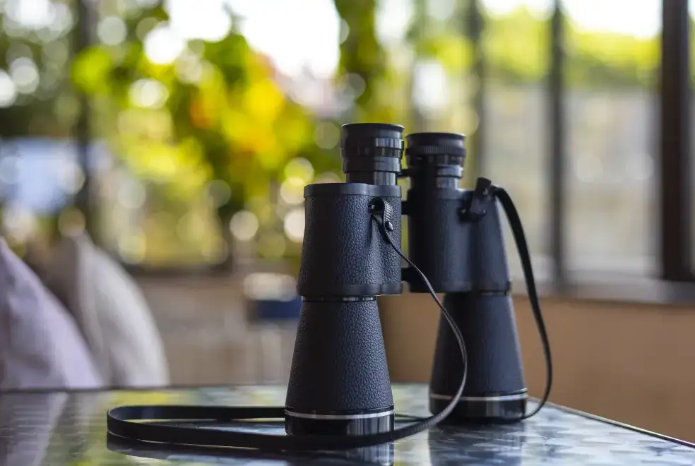 Surrounding area near Roa Island House