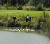 Lake view at Roach Rest