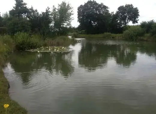 Lake view at Roach Rest