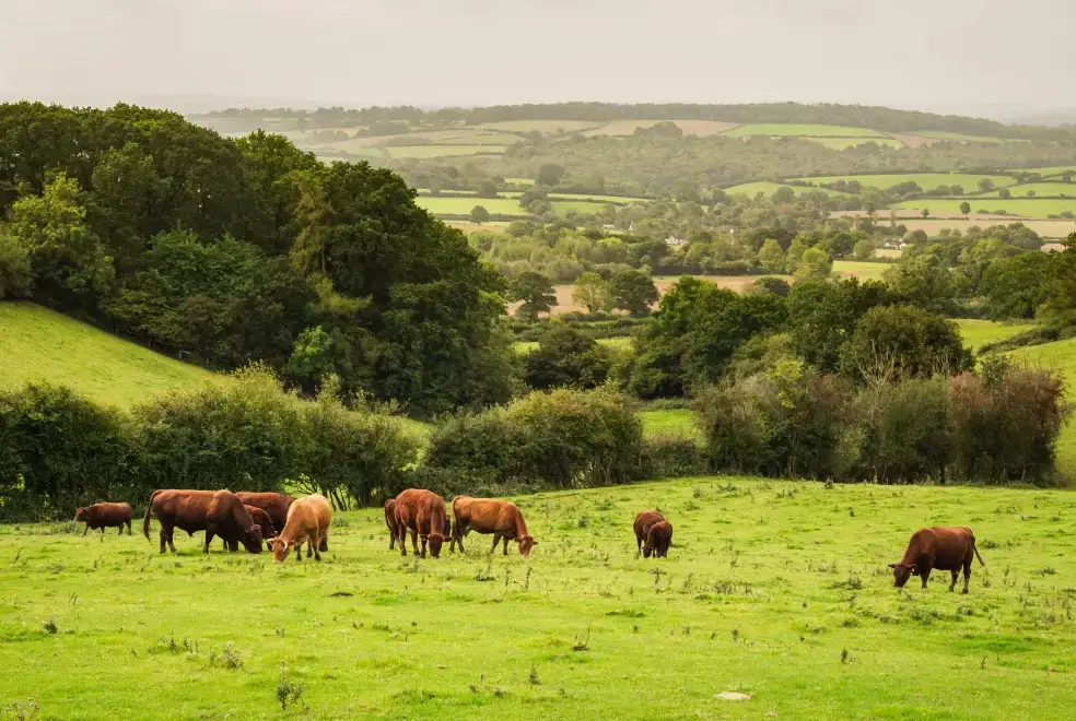 Countryside views at Rock Farm