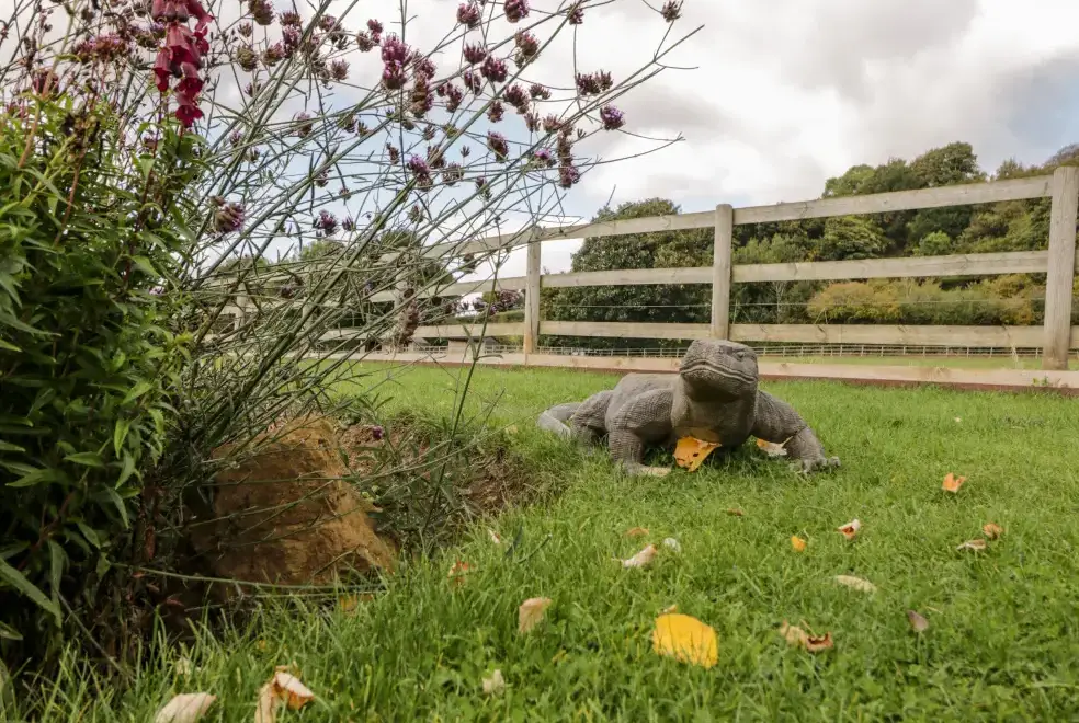 Countryside views at Rockstowes House