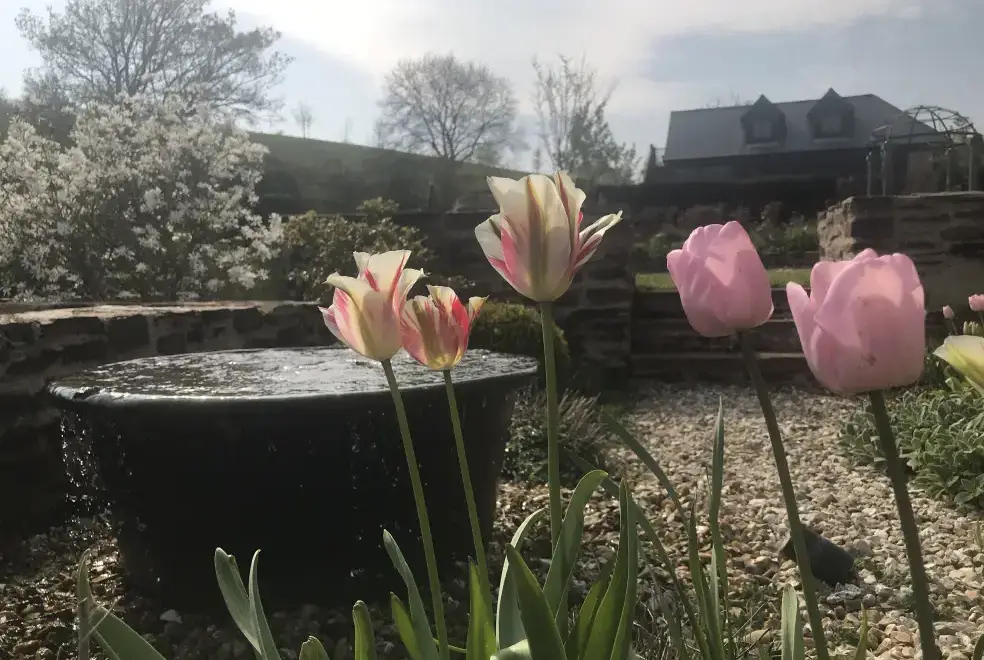 Garden at Romantic Couple's Retreat in the Brendon Hills