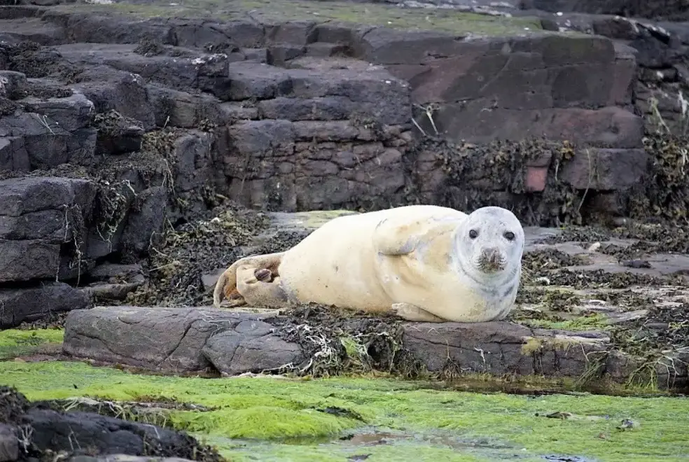 Coastal scenes near Romantic Retreats at Annstead Cottages