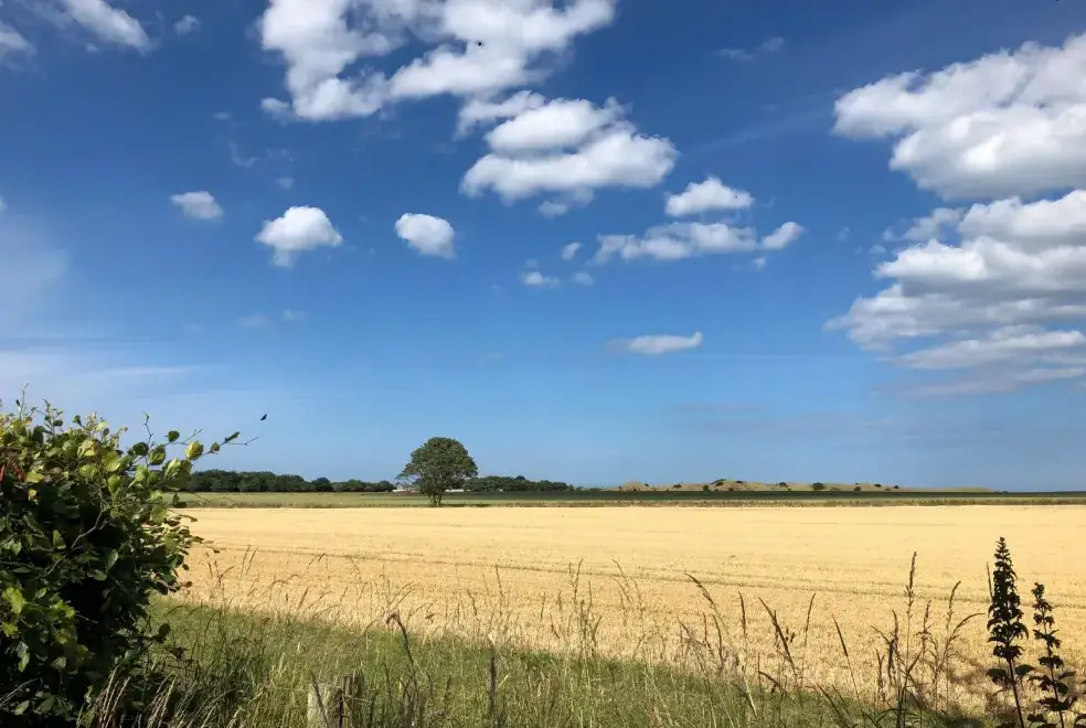 Countryside near Romantic Retreats at Annstead Cottages