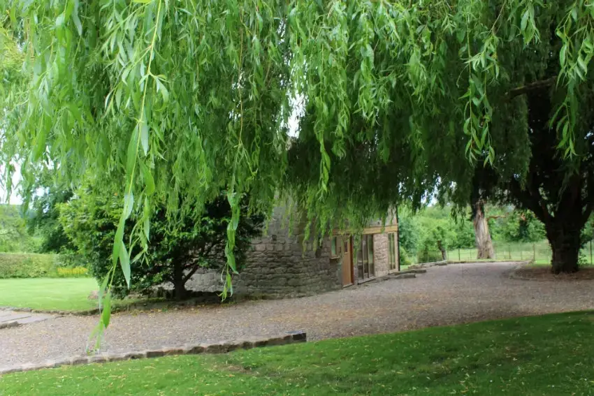 Countryside near Rosemore Grange