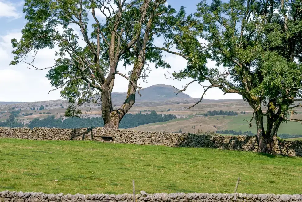 Countryside views at Routster Farm Cottage, Yorkshire Dales