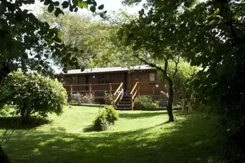 Rural Retreat Log Cabin - Photo 1