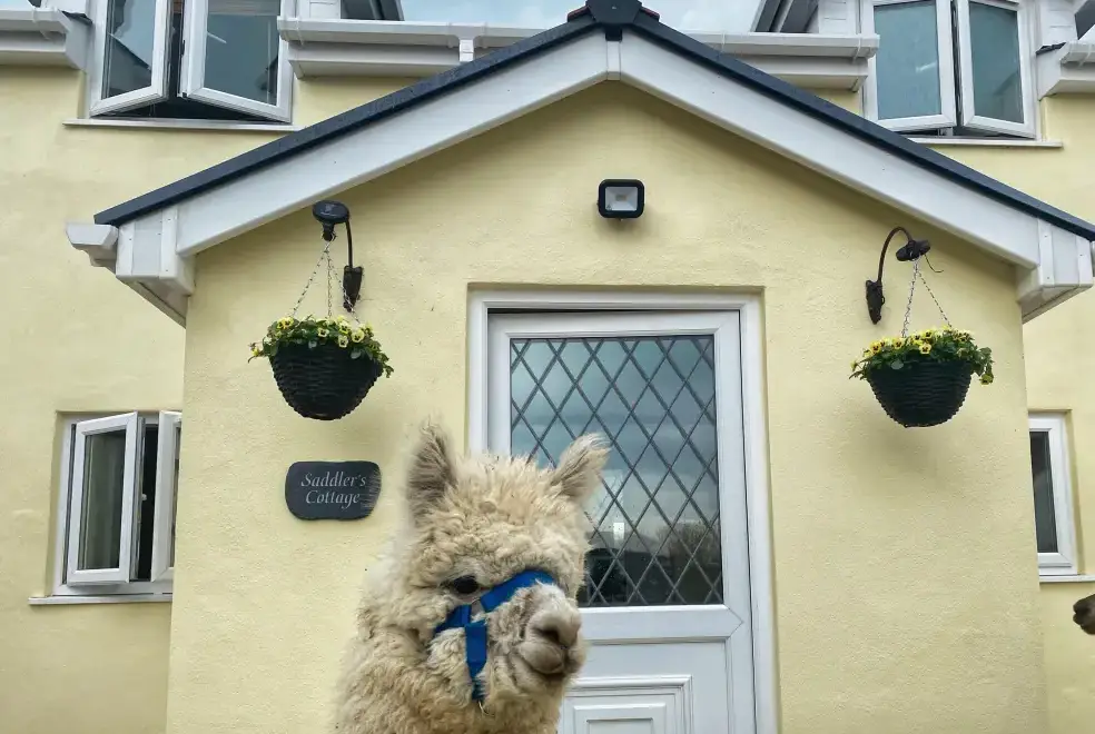 Saddlers Cottage, Berllandeg Farm, from the outside